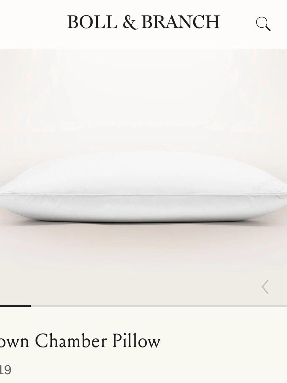 Boll & Branch White Down Chamber Pillow